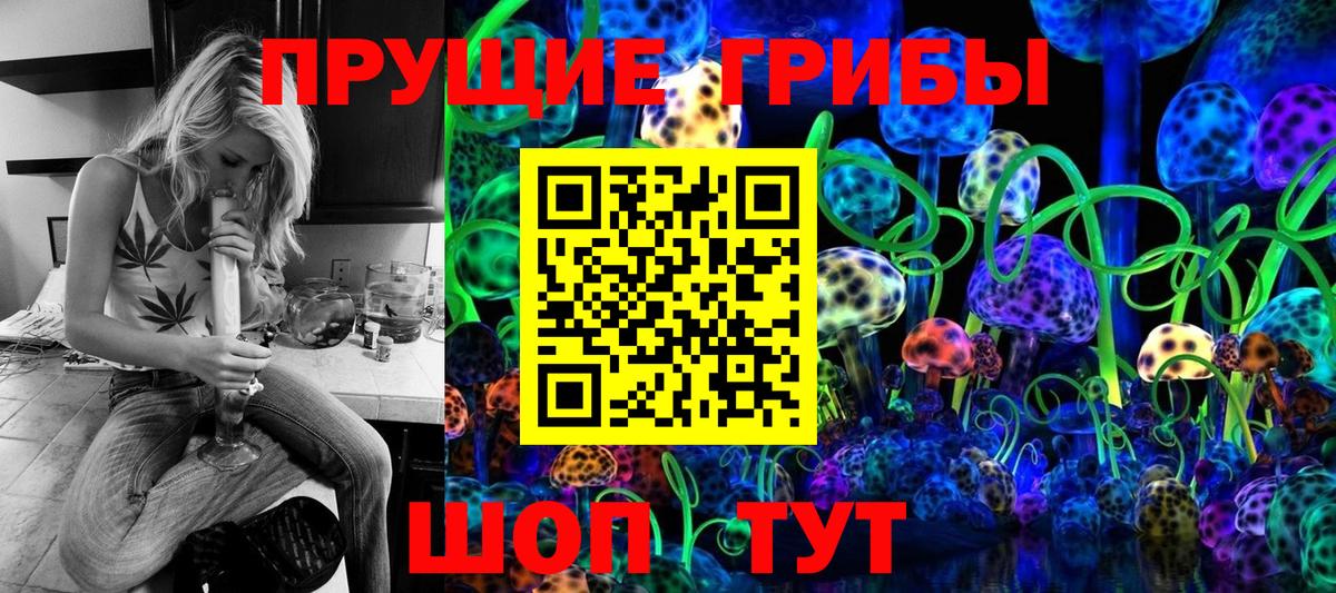 где можно купить наркотик  Вход с VPN  Приморско-Ахтарск  Галлюциногенные грибы Psilocybine cubensis 